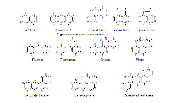 Idrocarburi policiclici aromatici