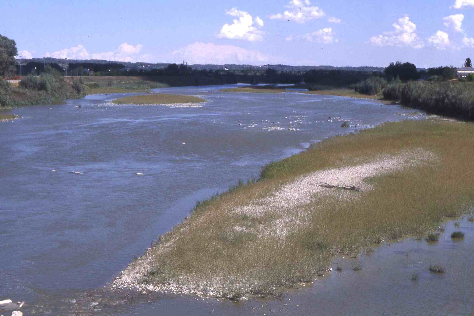 fiume Tanaro